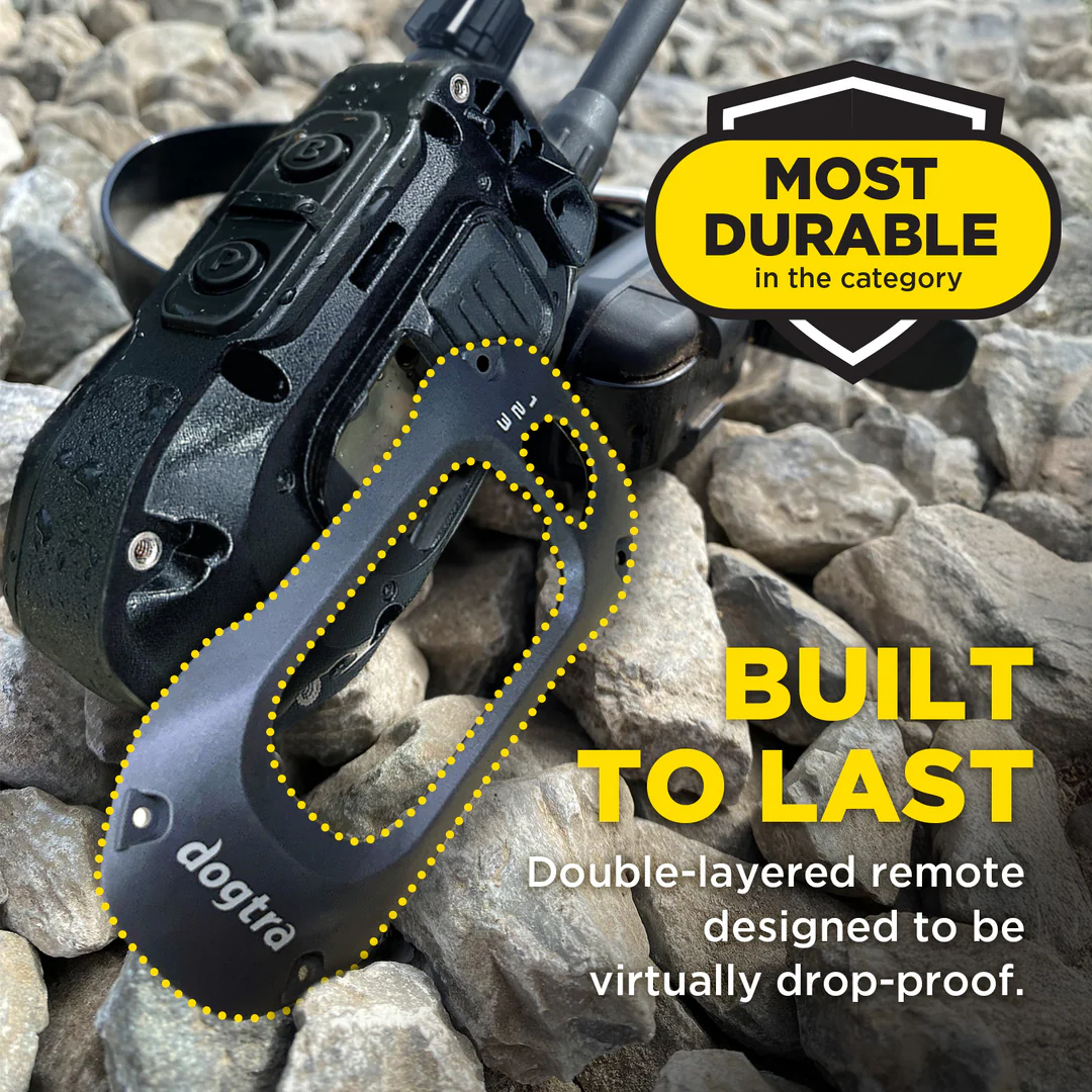 Dogtra 640X – 181Suns Dogtra 640X - Image 4