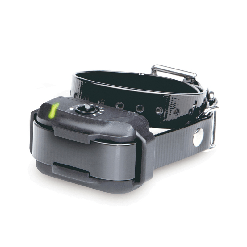 Radiosēta Dogtra EF-3500 – 181Suns Radiosēta Dogtra EF-3500 - Image 5