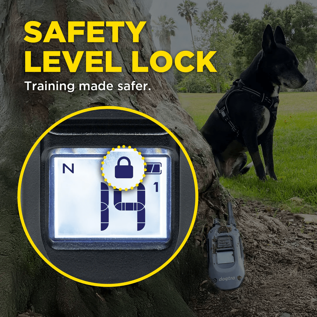 Dogtra 640X Tālvadības pults – 181Suns Dogtra 640X Tālvadības pults - Image 3