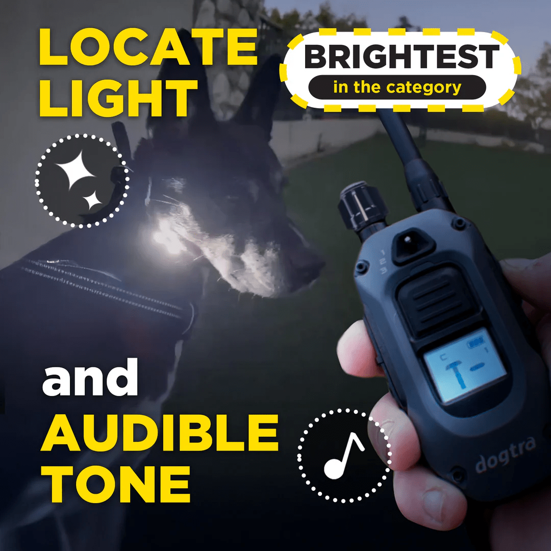 Dogtra 1200X with X-SHIELD – 181Suns Dogtra 1200X with X-SHIELD - Image 6