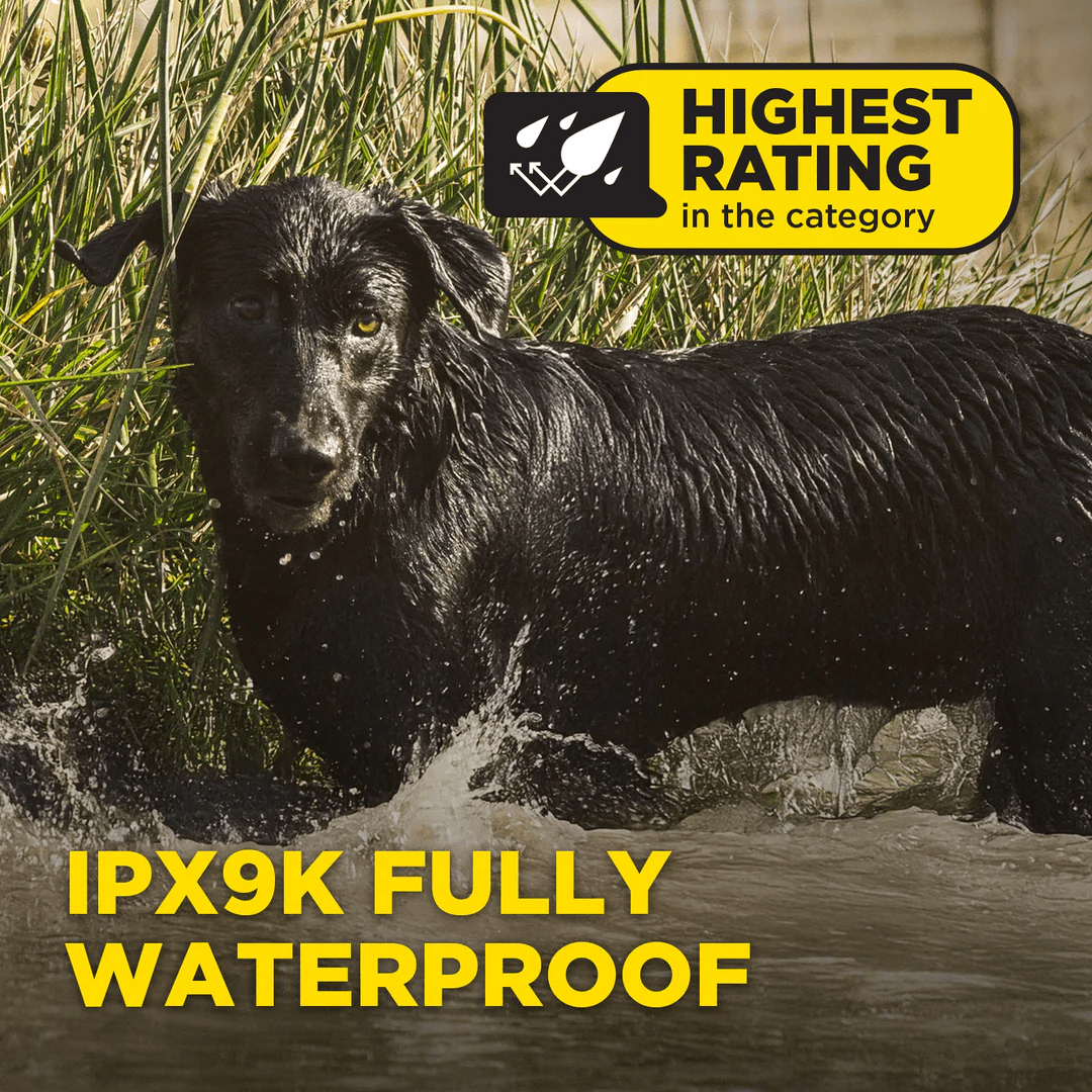 Dogtra 1200X – 181Suns Dogtra 1200X - Image 6