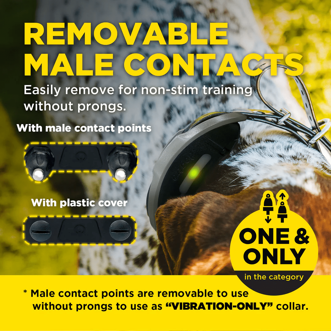 Dogtra 1200X + HANDSFREE SQUARE – 181Suns Dogtra 1200X + HANDSFREE SQUARE - Image 6