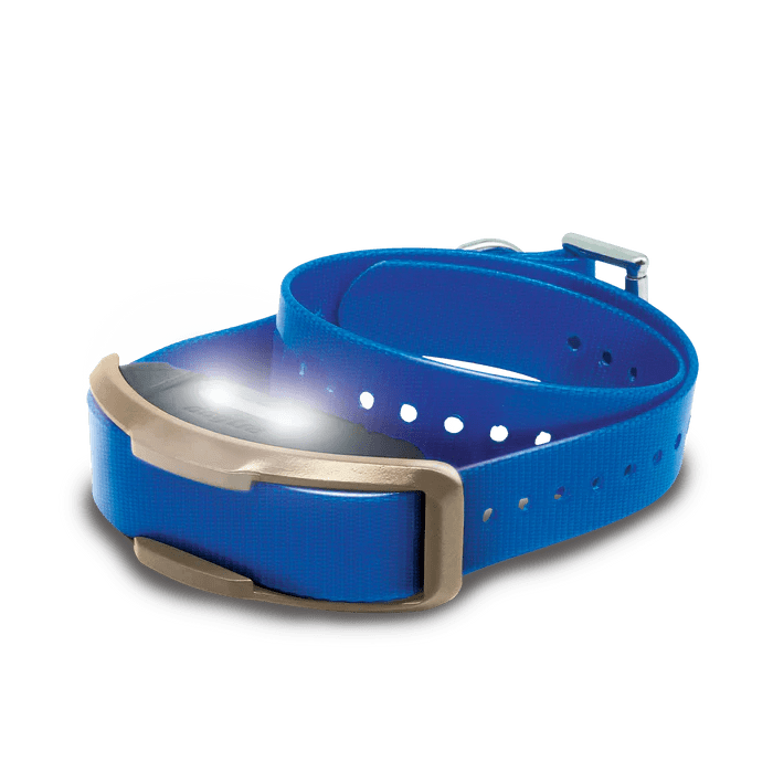 Электро-ошейник для Dogtra 1200X – 181Suns Электро-ошейник для Dogtra 1200X